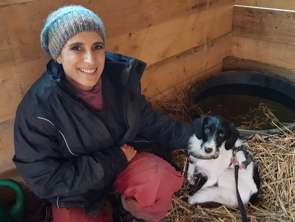 Tierheilpraktiker Larres